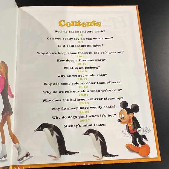 Mickey Wonders Why: Can You Really Fry an Egg on a Stone? - Hardcover Book - Picture 6 of 6